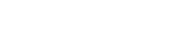 OSCARI GROUP